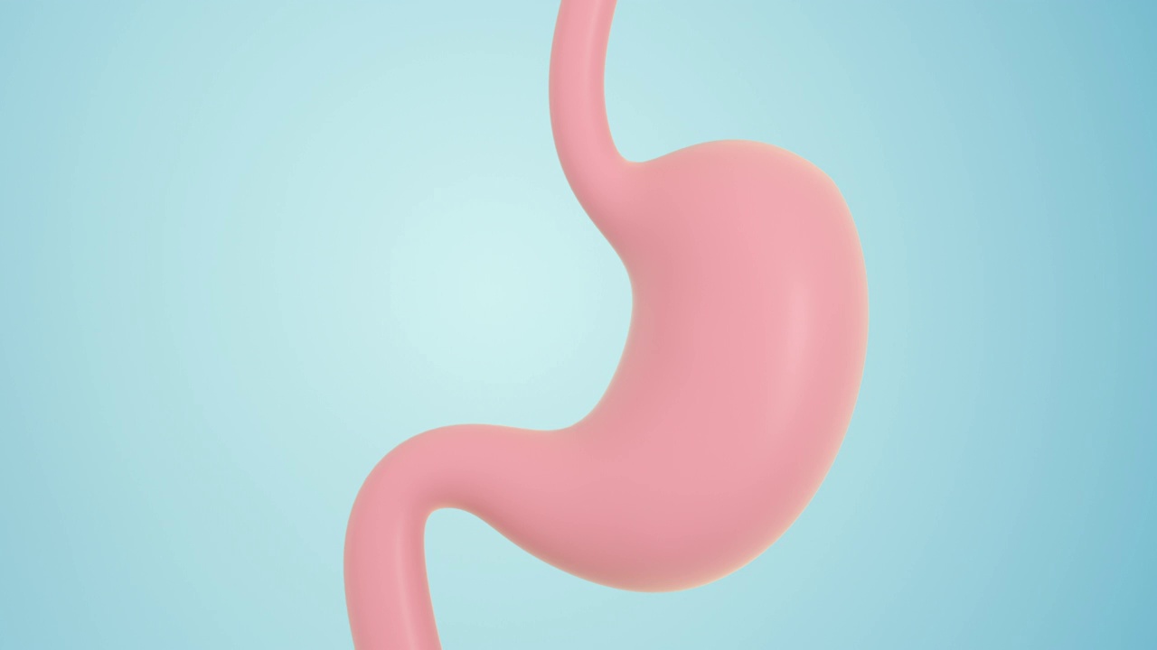 循环蠕动的胃 3D渲染视频下载