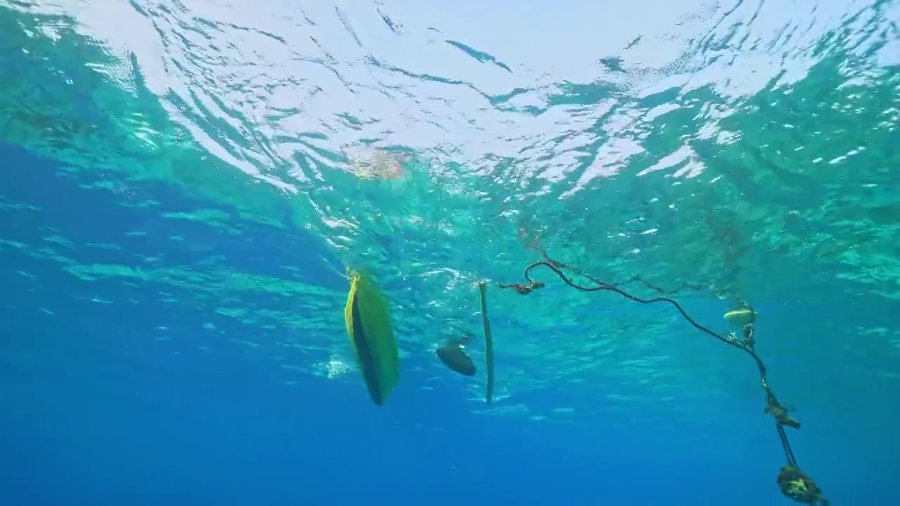 水下摄影印尼土著渔民孩子视频素材