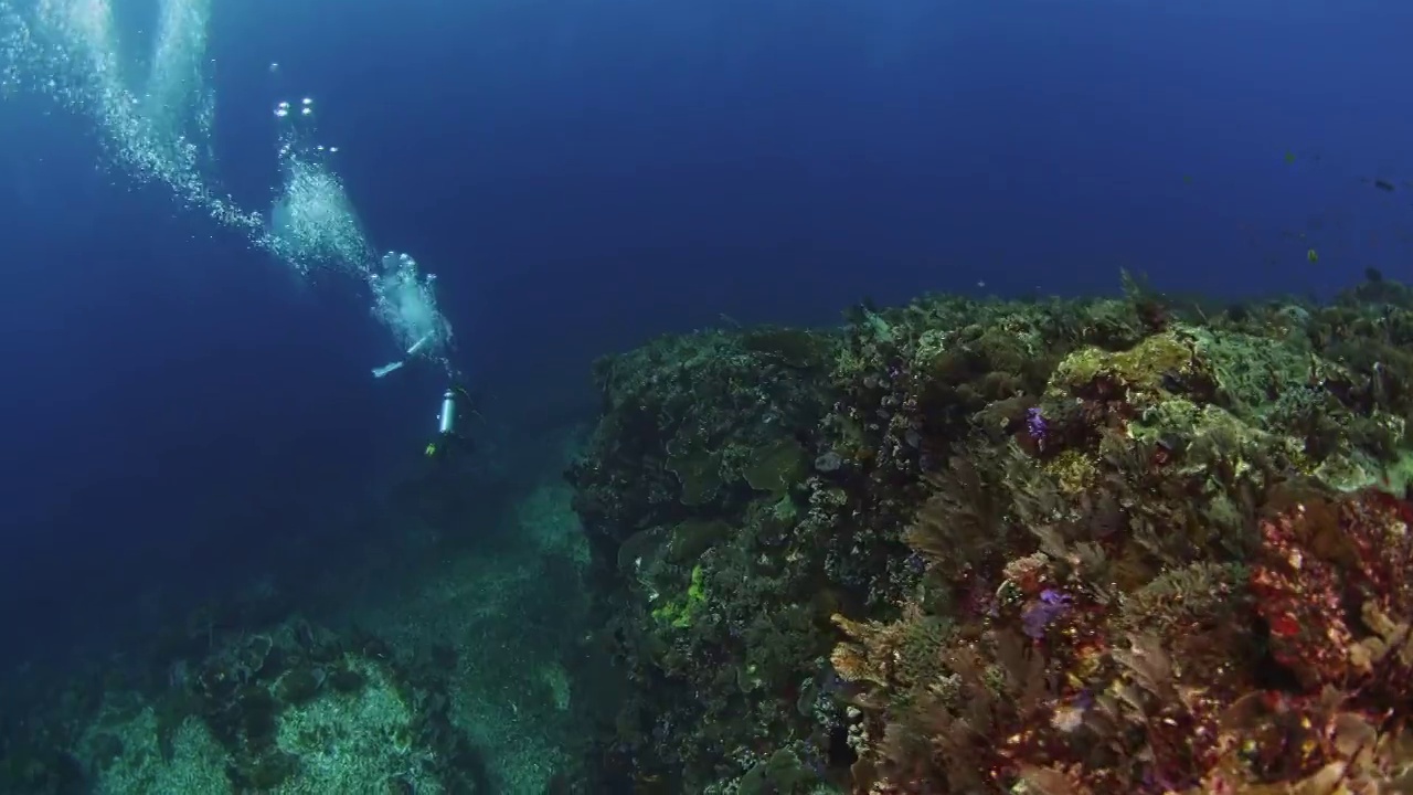 潜水员海底水下探索视频素材