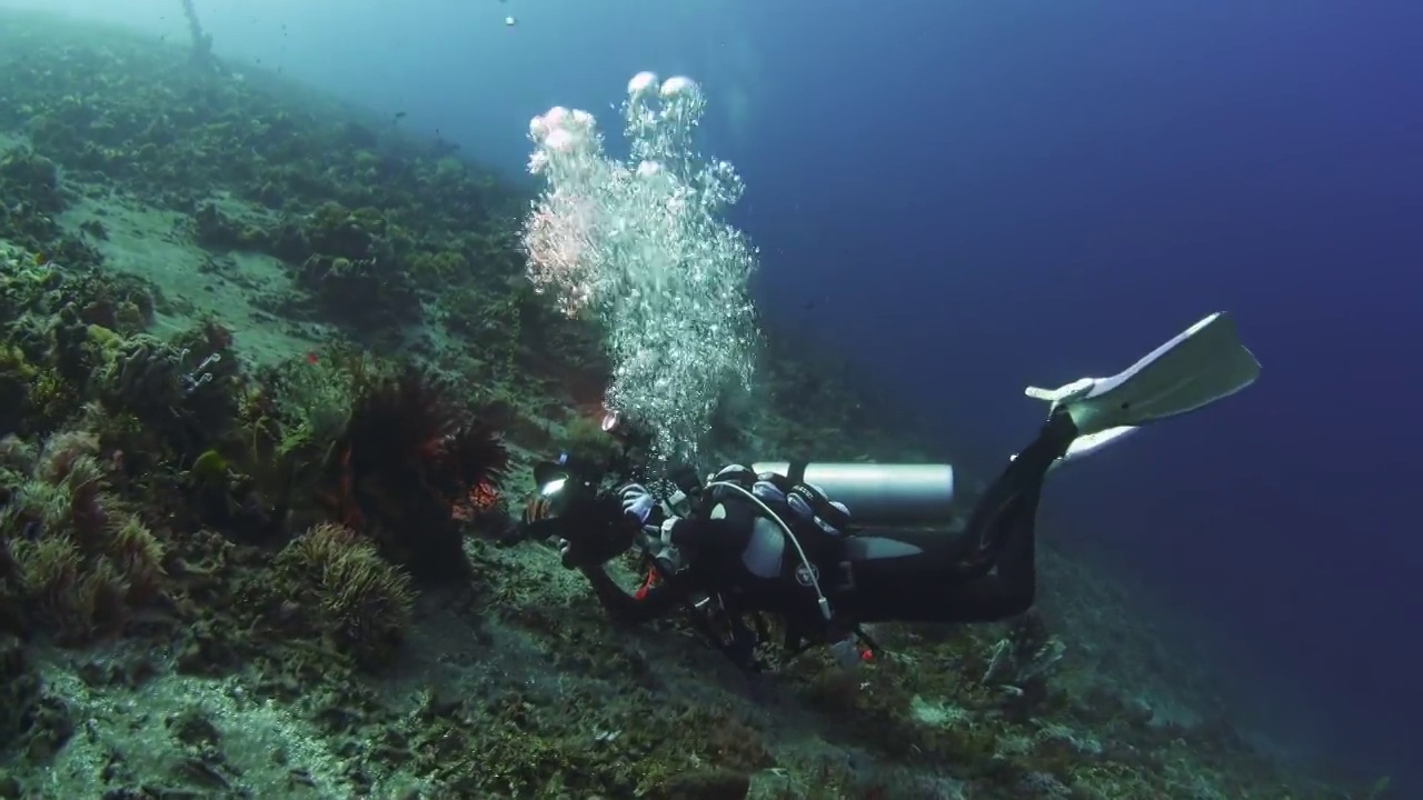 水下摄影潜水员探索神奇的海底世界视频素材