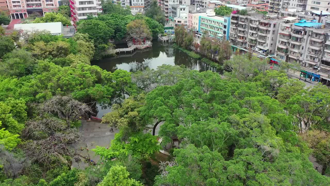 广东省东莞市石龙镇中山公园航拍视频素材