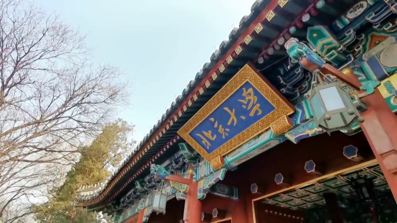 北京大学视频购买