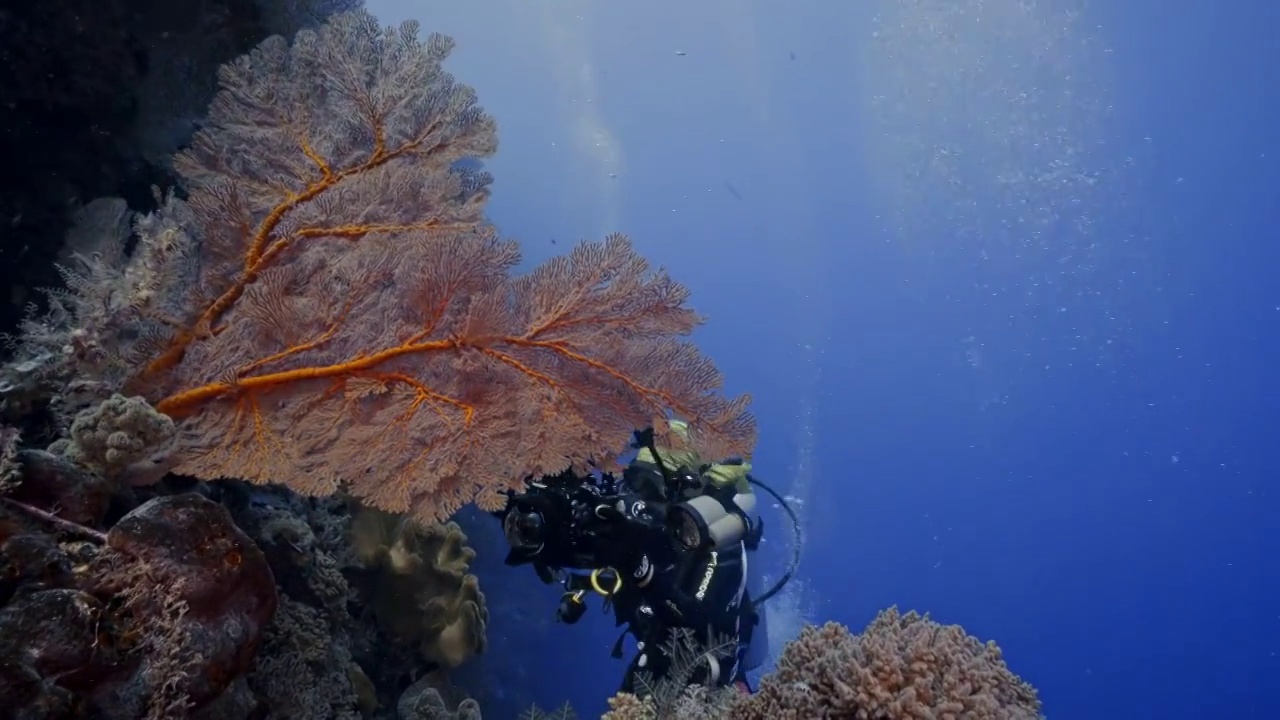 水下摄影潜水员探索神奇的海底世界视频素材