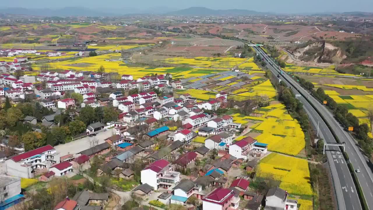 陕西汉中洋县油菜花风光视频素材