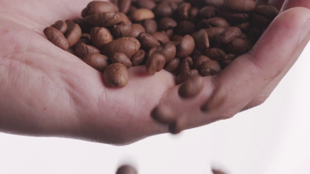 咖啡豆视频下载