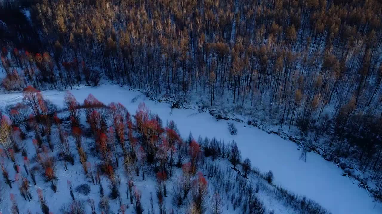 航拍大兴安岭冬季雪原冰河红柳视频素材