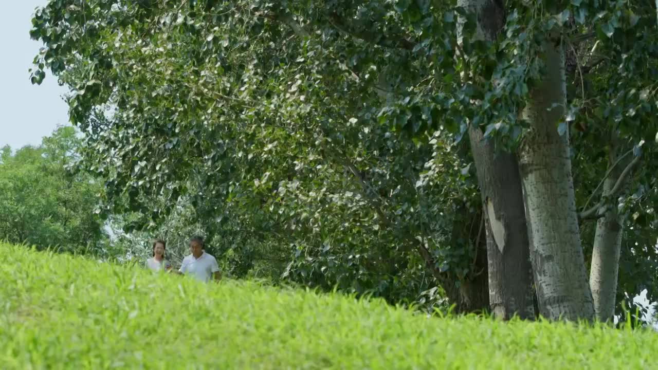 开心的中老年夫妇在公园遛狗视频素材