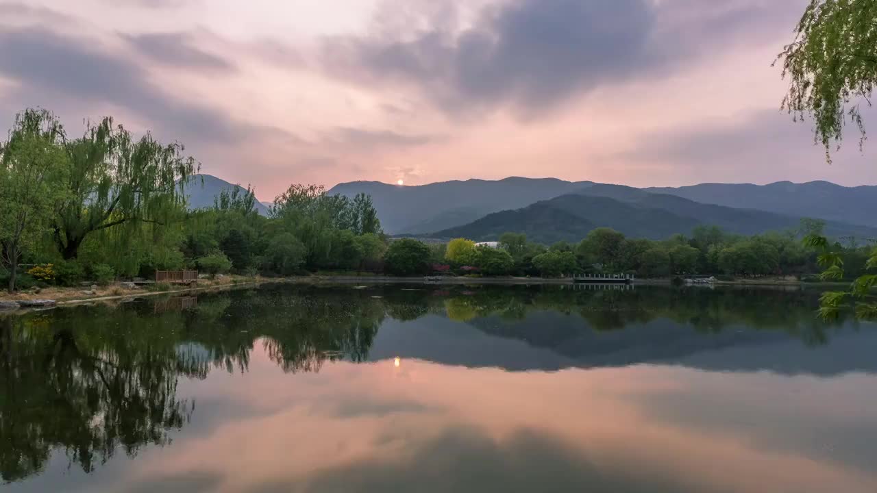 北京植物园日落视频素材
