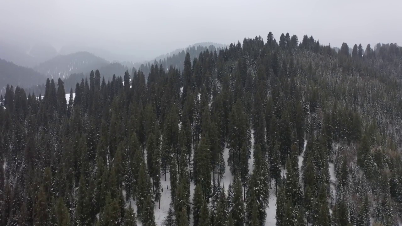 新疆昌吉江布拉克景区的冬天视频素材