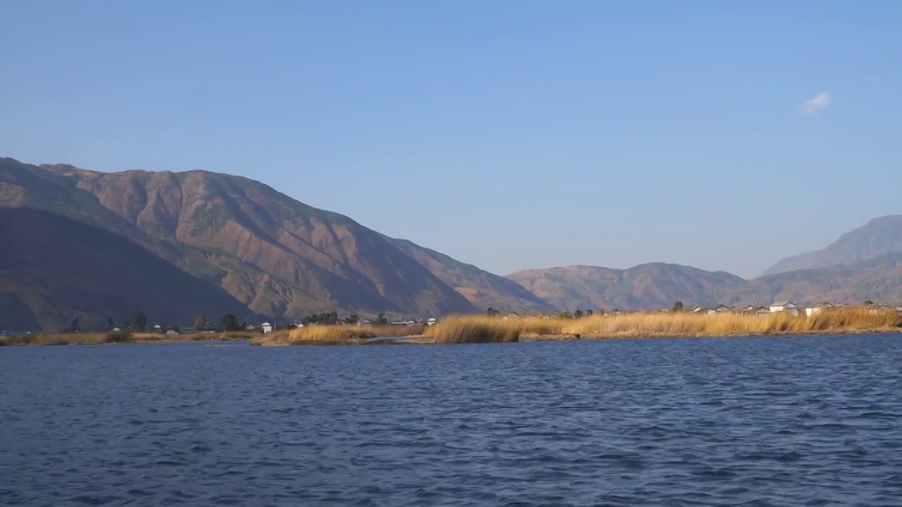 大理西湖湿地视频素材