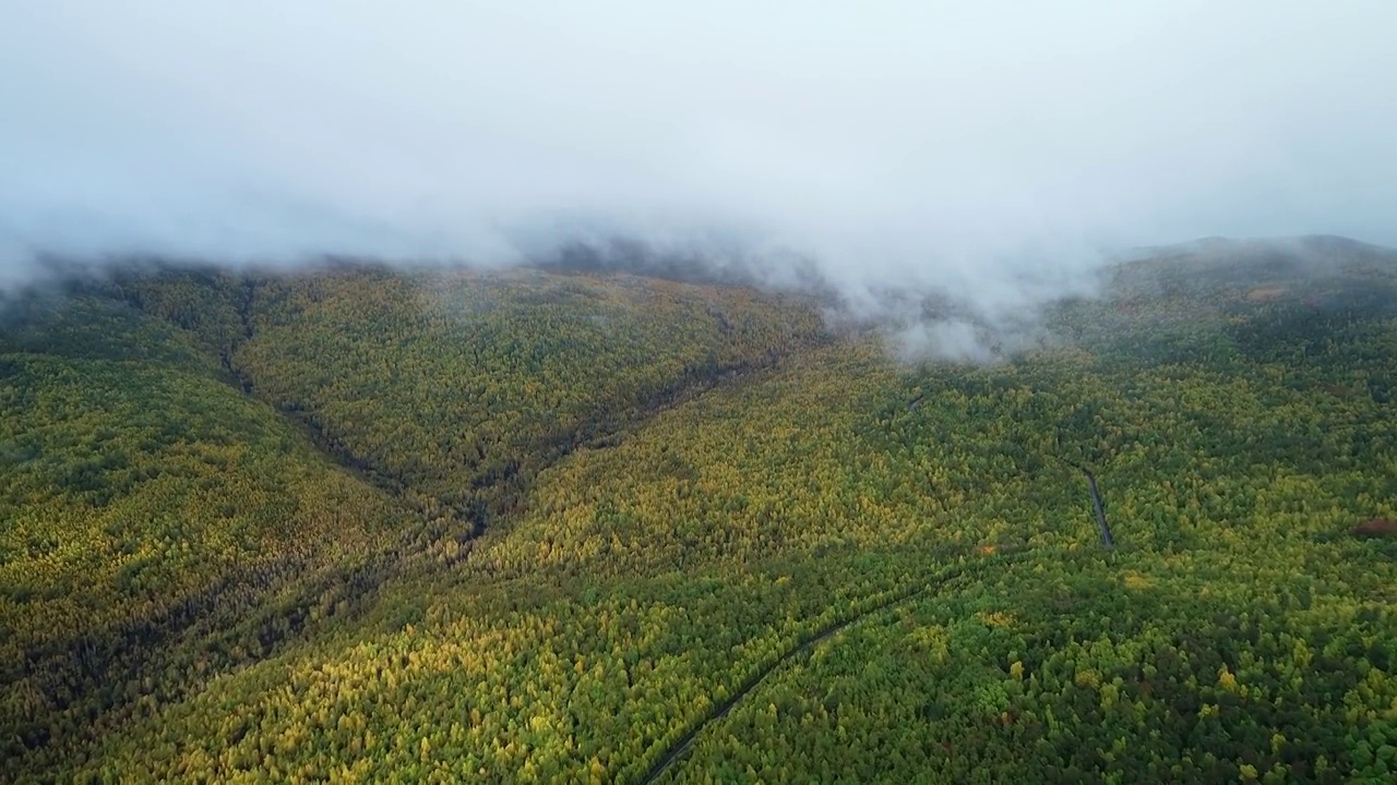 航拍大兴安岭秋季林海山峦下雨时的雨雾视频素材