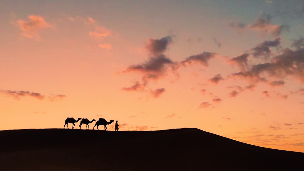 摩洛哥撒哈拉沙漠驼队视频下载