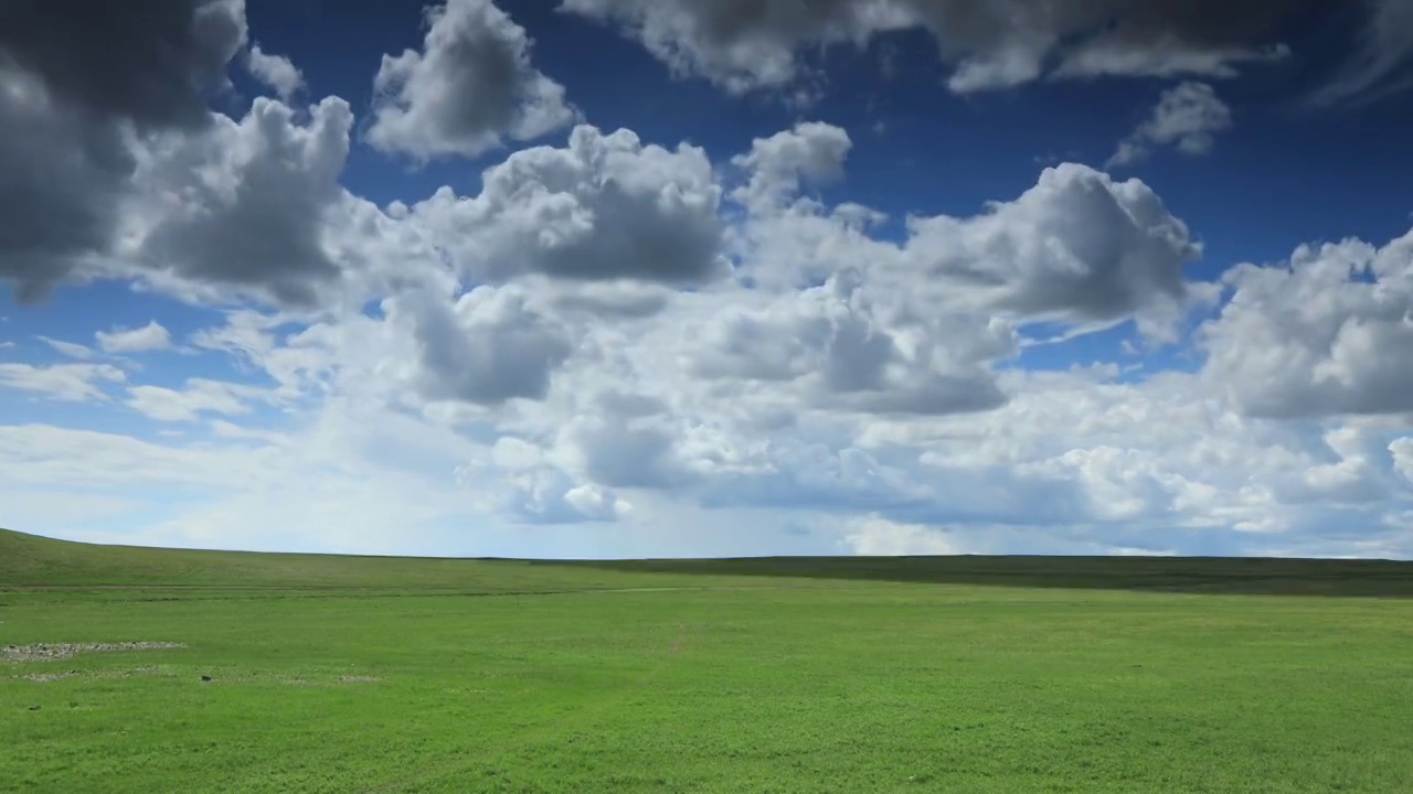 内蒙古呼伦贝尔草原的夏天视频下载