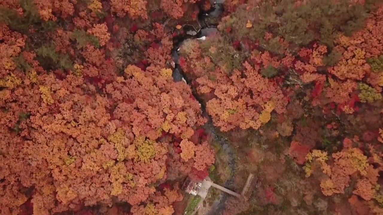 辽宁本溪大石湖的秋天红叶视频素材