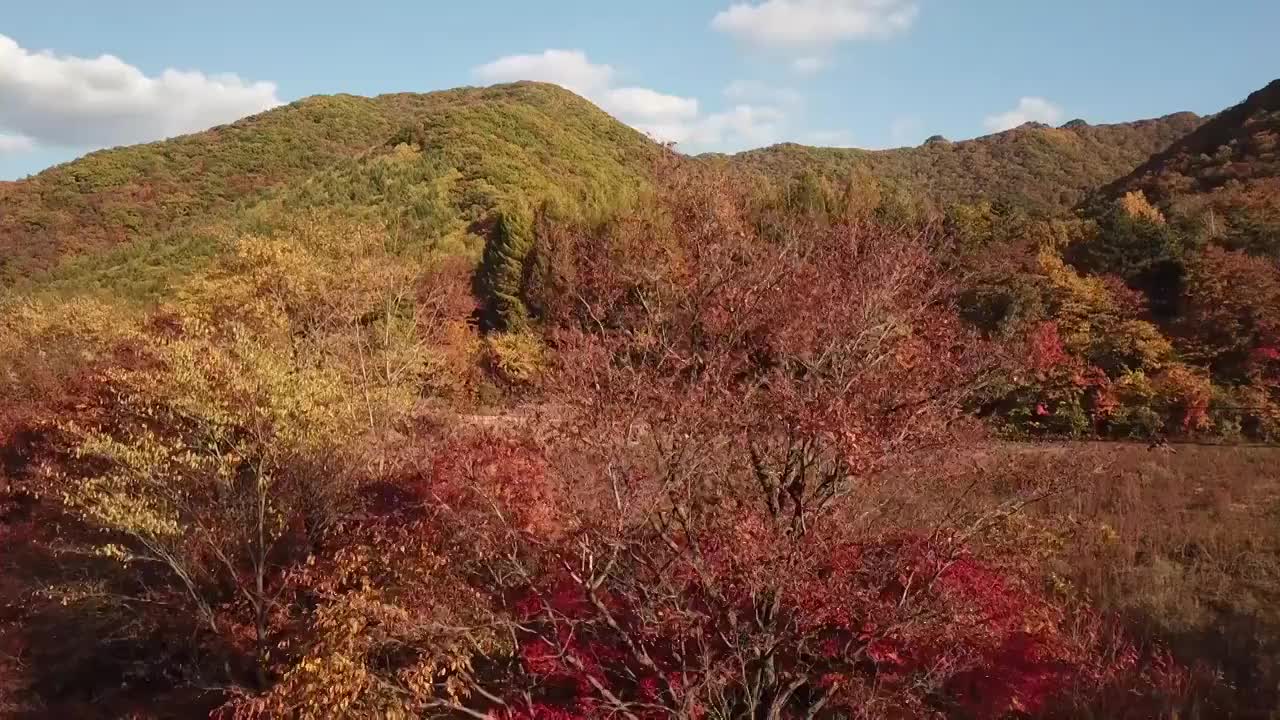 辽宁本溪大石湖的秋天红叶视频素材