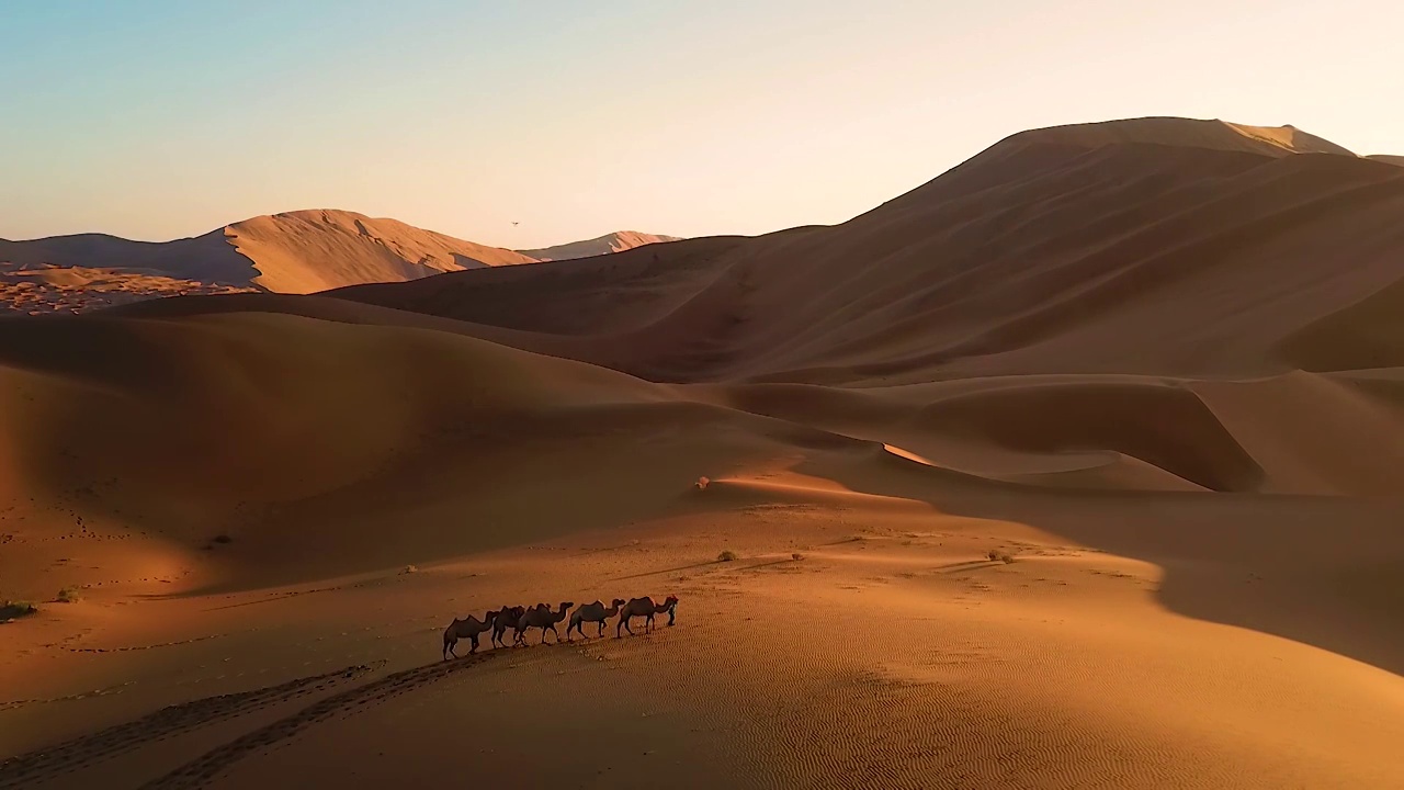 内蒙古阿拉善巴丹吉林沙漠视频下载
