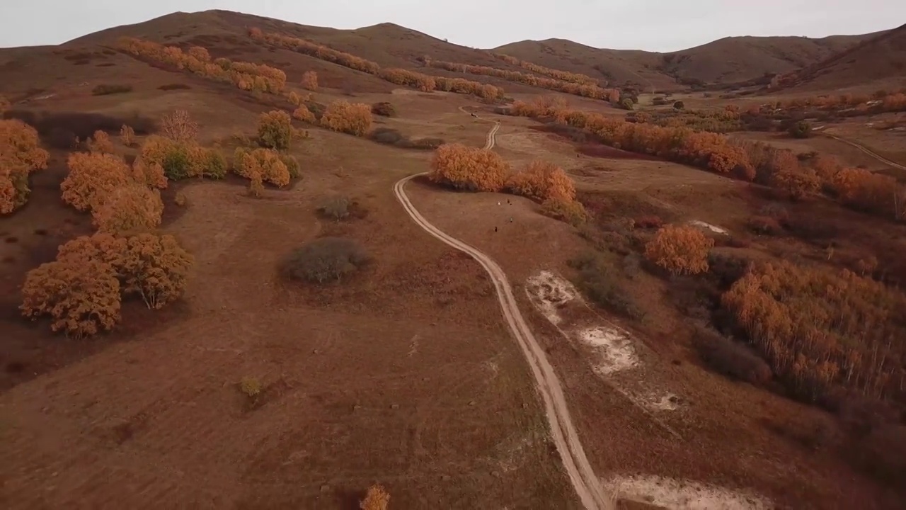 内蒙古乌兰布统坝上草原的秋天视频素材