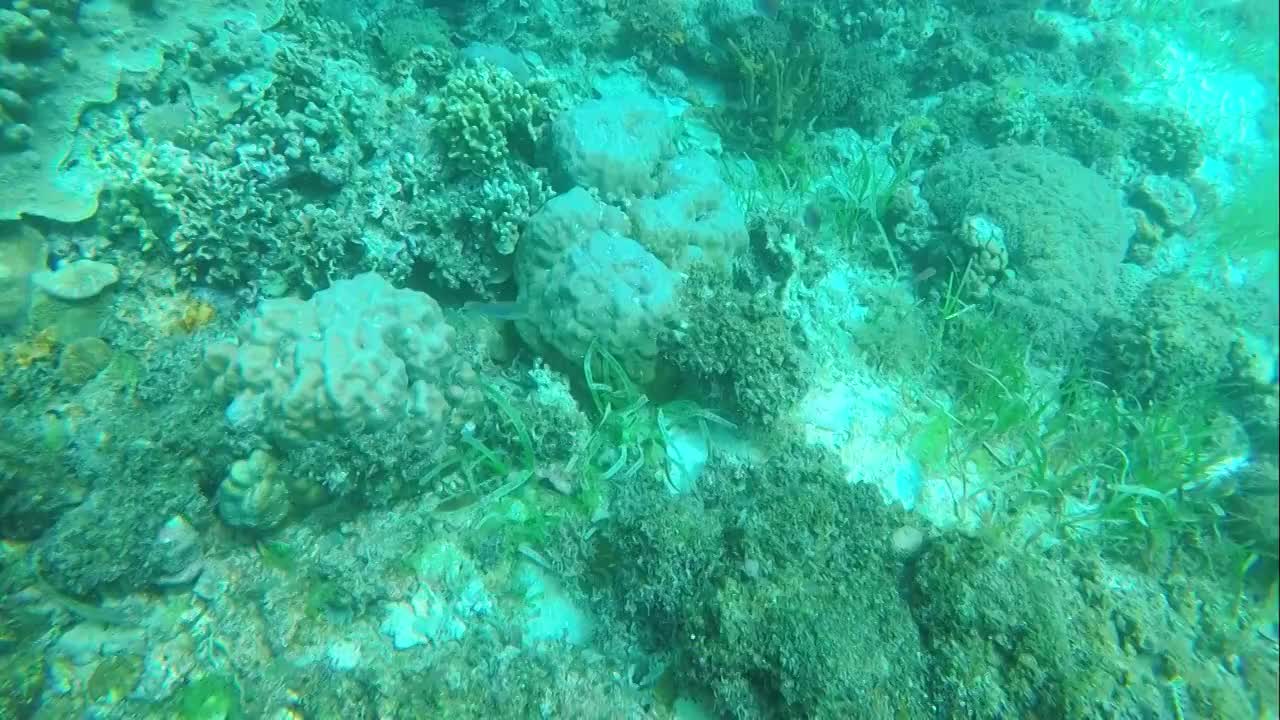 正在礁石上游动的三个技术潜水潜水员视频素材