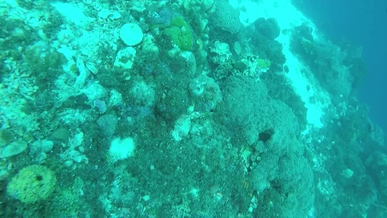 一个在礁石上游动的技术潜水潜水员视频素材