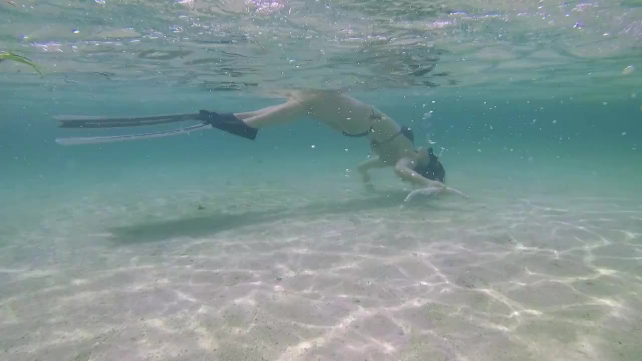 漂在水中拿着呼吸管的一个女性自由潜潜水员视频素材