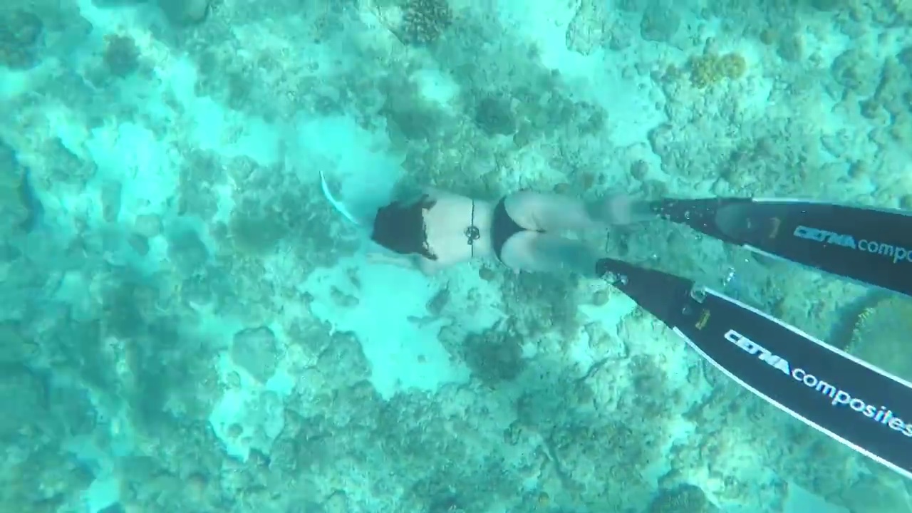 一个穿着黑色泳衣正在自由潜水的女人视频素材