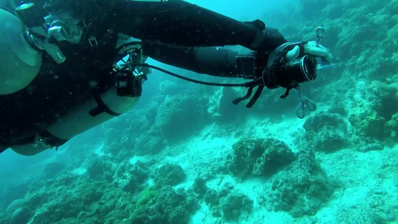 一个正在游动的技术潜水潜水员视频素材