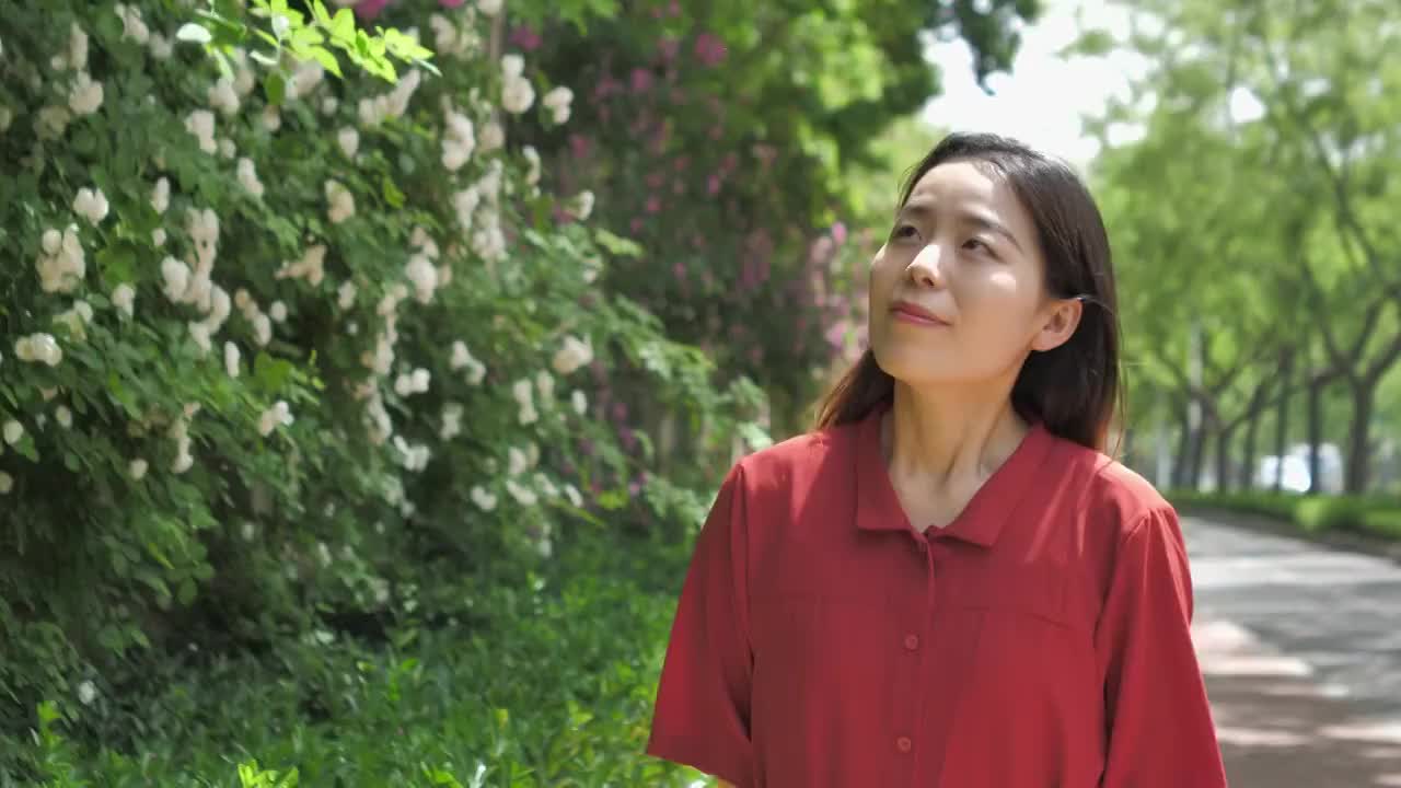 4k高清视频中国女性路边观赏盛开的蔷薇花视频素材