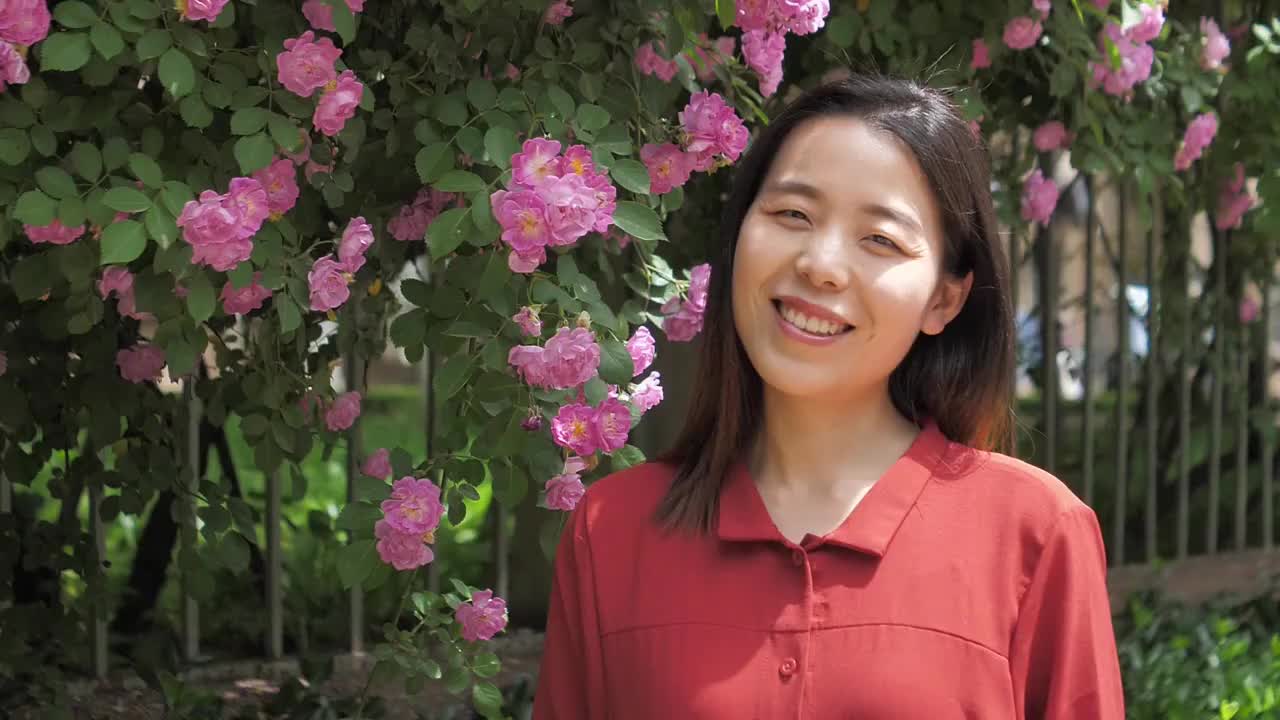 hd升格高清视频中国女性路边观赏盛开的蔷薇花视频素材