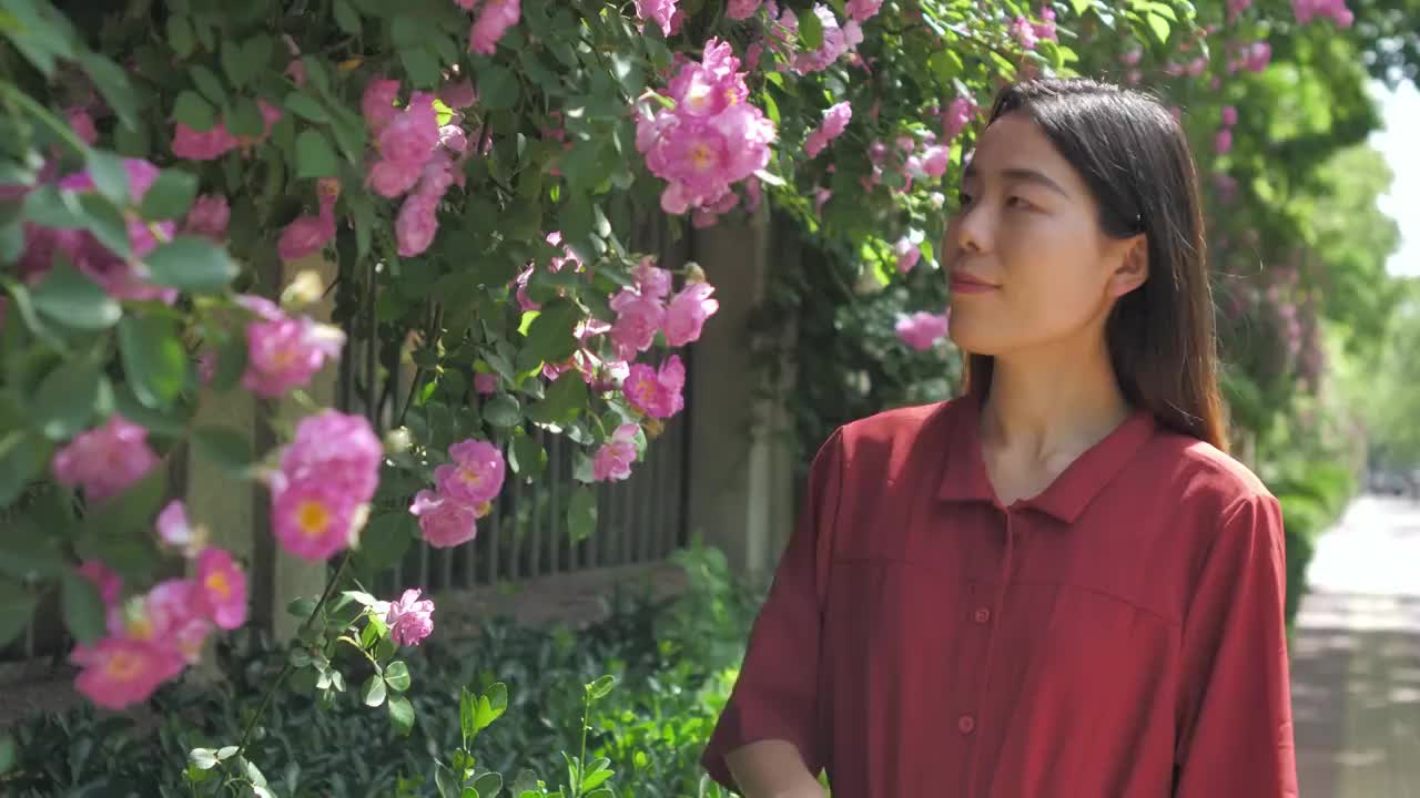 4k高清视频中国女性路边观赏盛开的蔷薇花视频素材