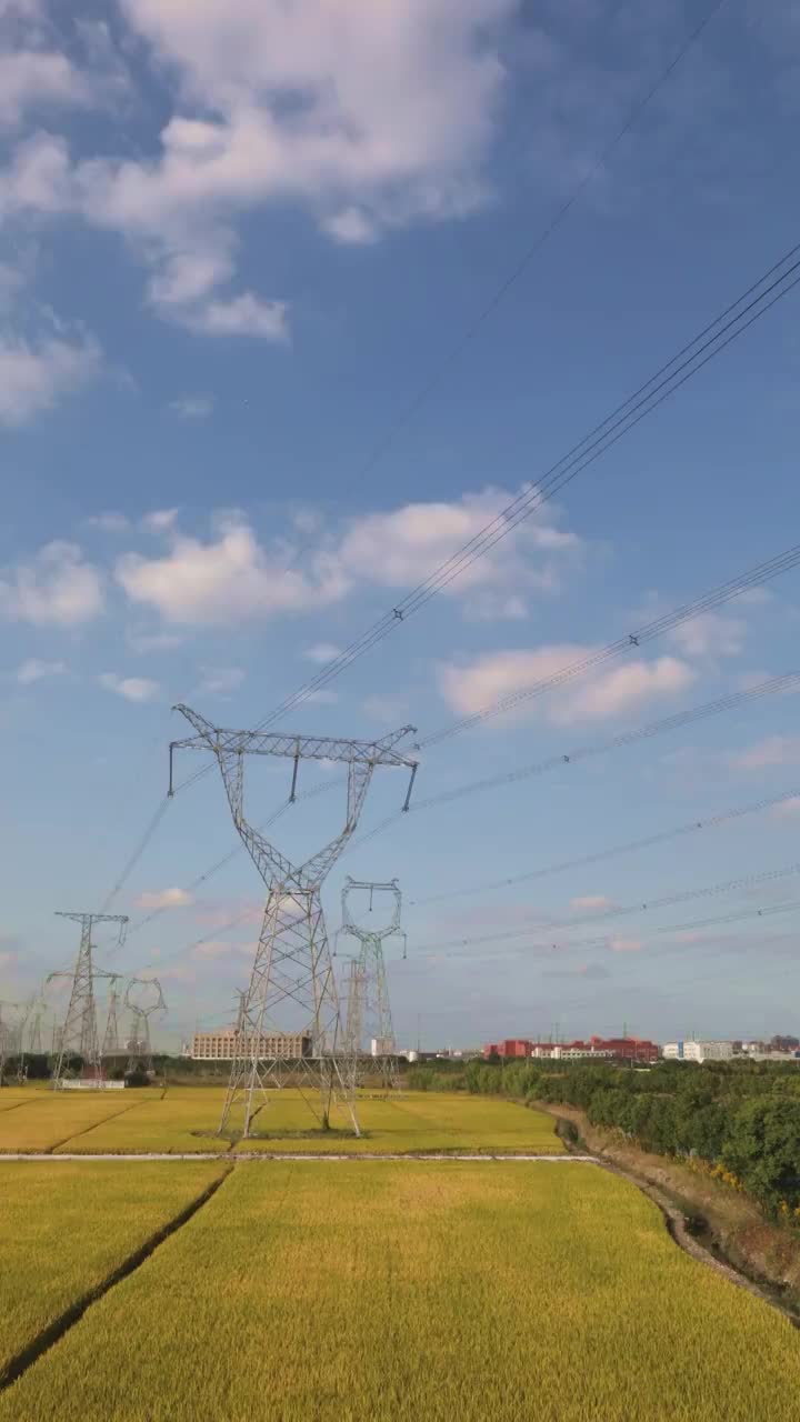 上海郊区的电力输送高压线铁塔延时摄影视频素材