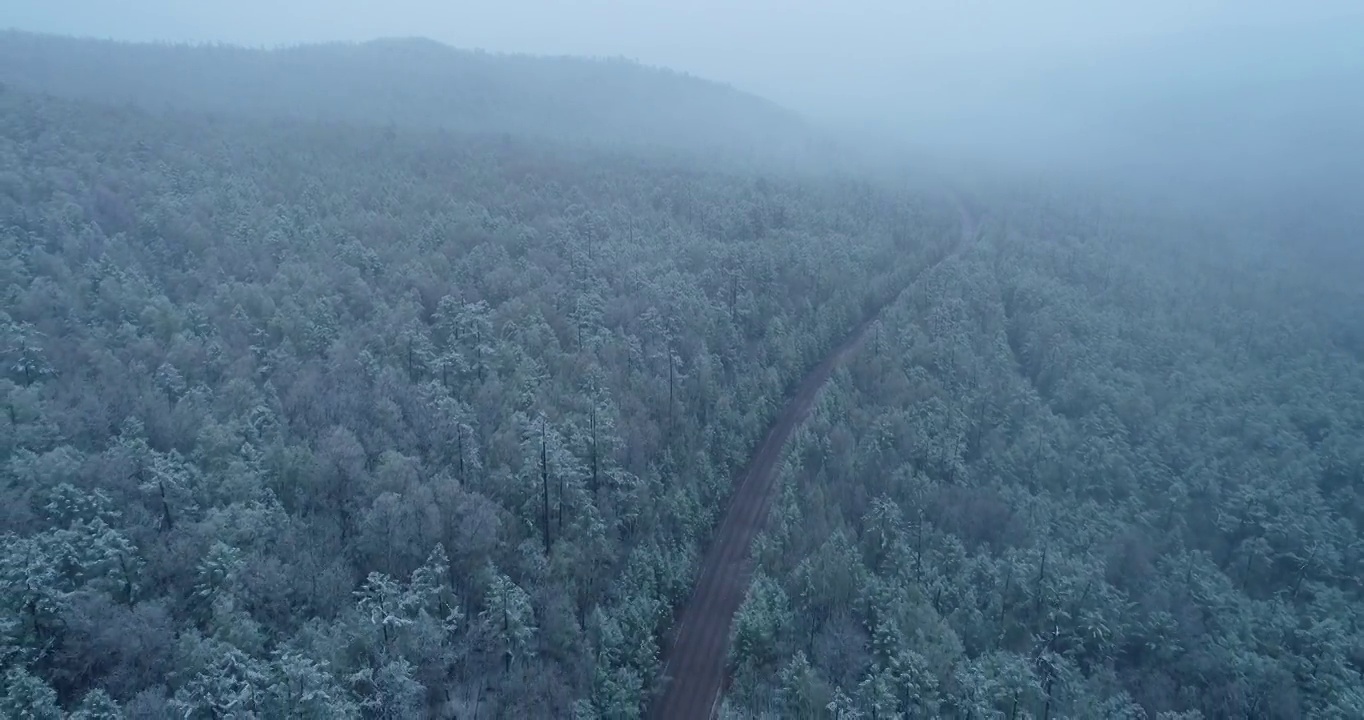航拍大兴安岭春季极端天气降雪山林山路雾凇视频素材