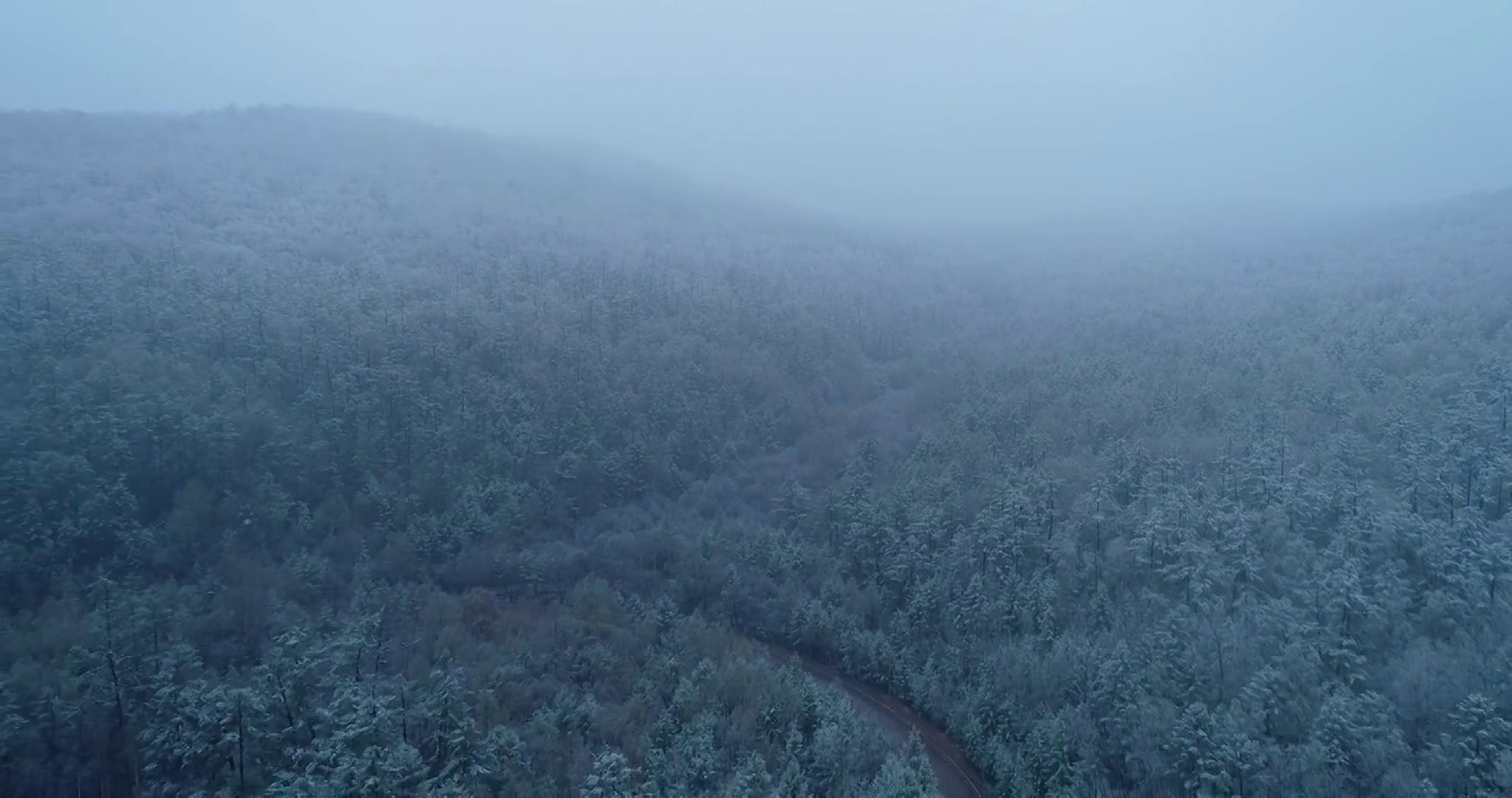 航拍大兴安岭春季极端天气降雪山林山路雾凇视频素材