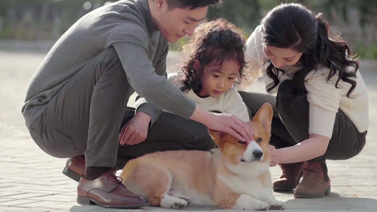 快乐的年轻家庭和宠物狗在户外玩耍视频素材