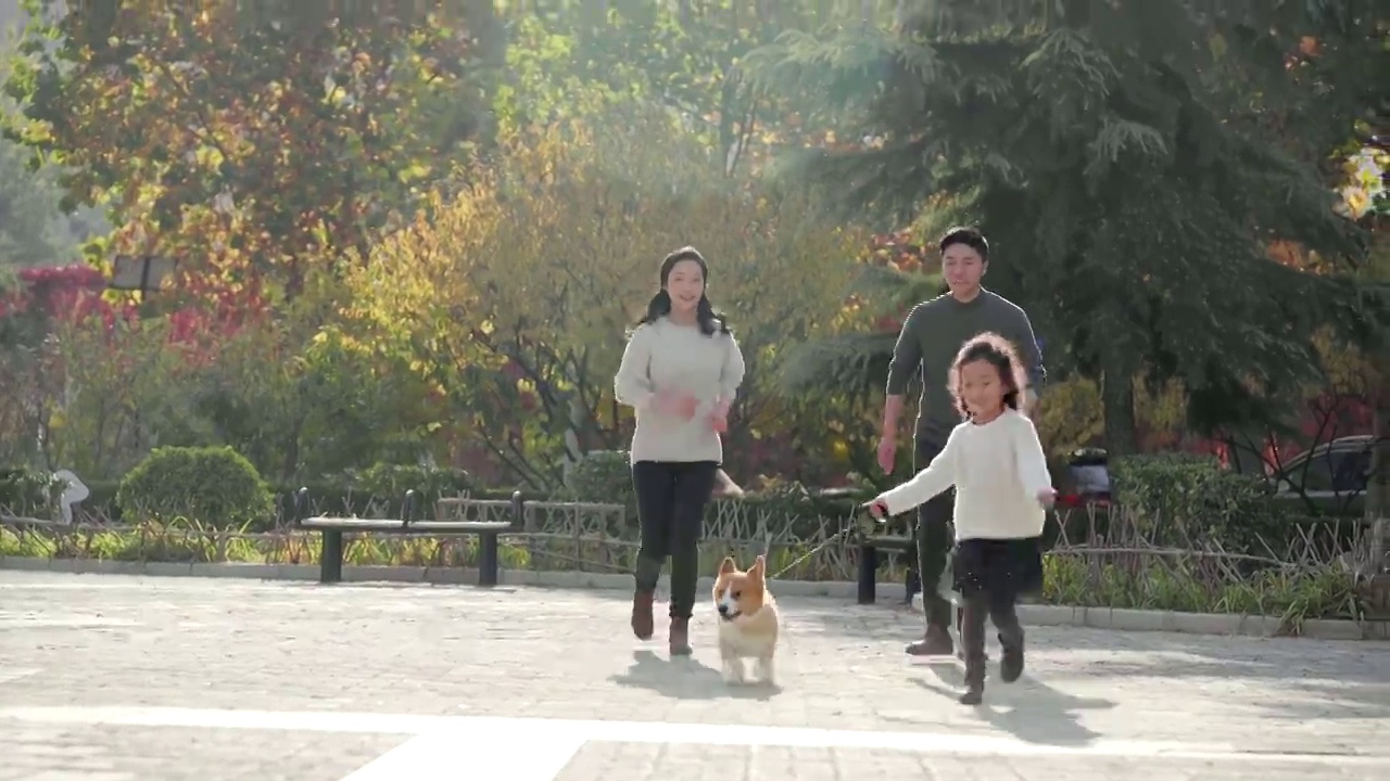 快乐的年轻家庭和宠物狗在户外玩耍视频下载