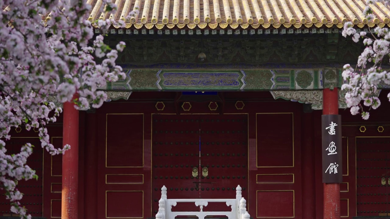 北京故宫博物院文华殿海棠花 4K升格视频视频下载