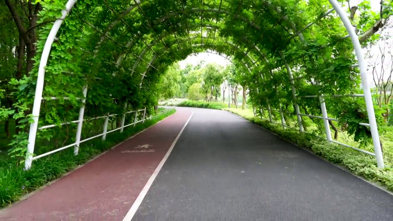 绿树环绕中的城市公园健身步道视频素材