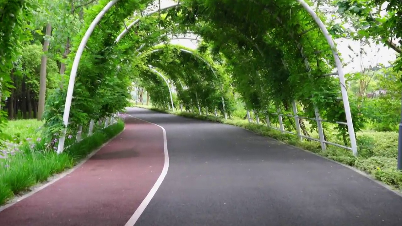 绿树环绕中的城市公园健身步道视频素材