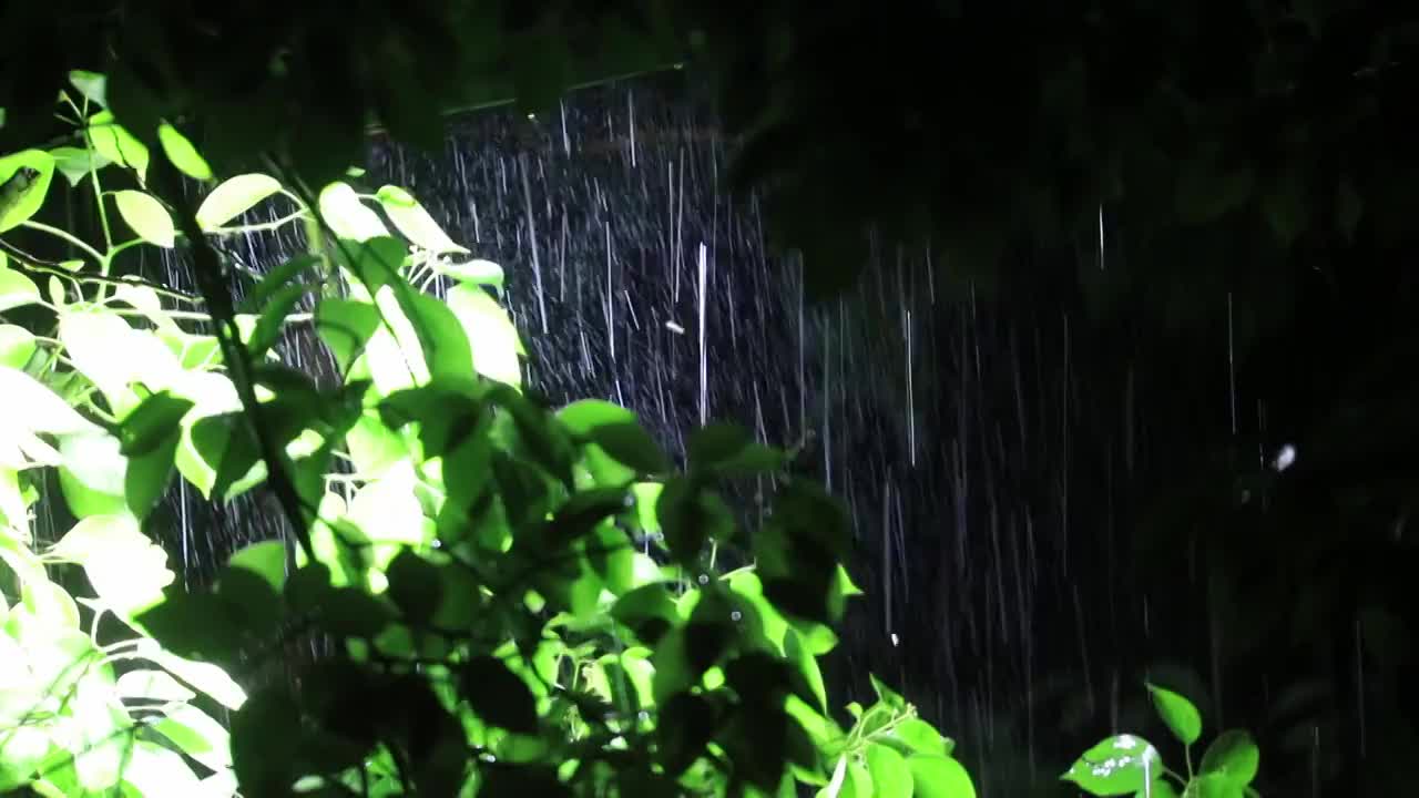 夏天的暴雨视频素材