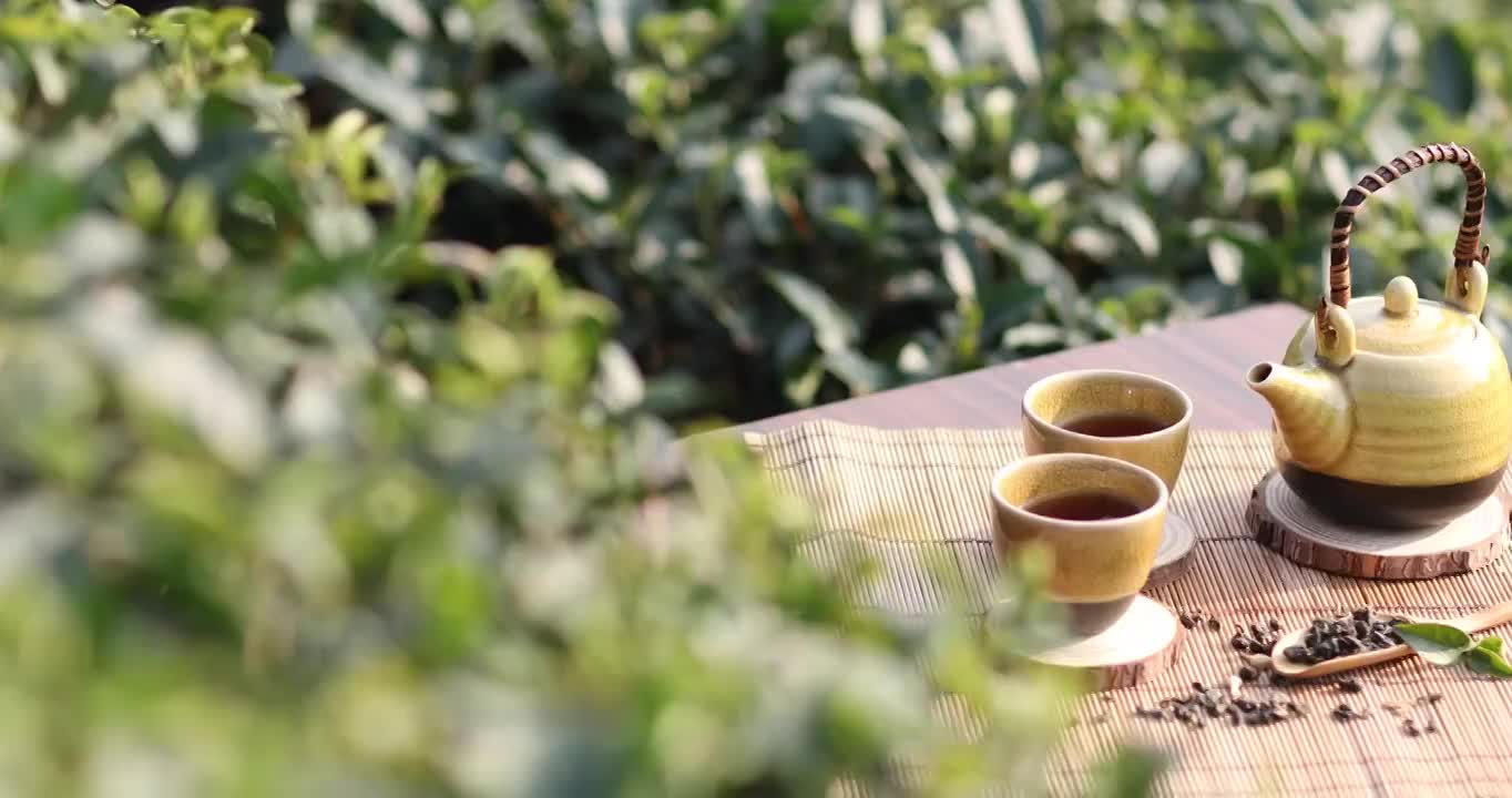 在优美的茶园里品茗中国茶富有禅意视频下载