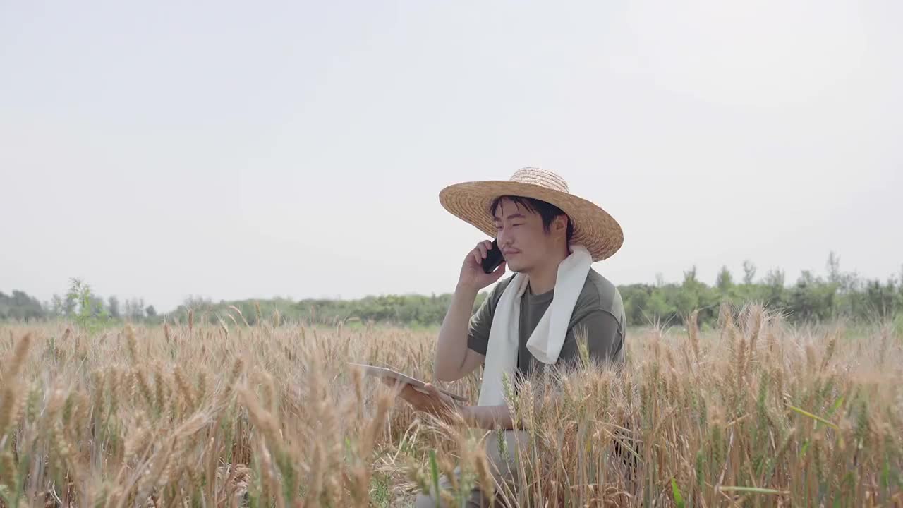 农民在麦田里使用手机打电话视频素材