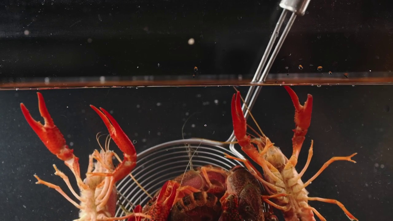 捞小龙虾活鲜虾水产美食视频下载