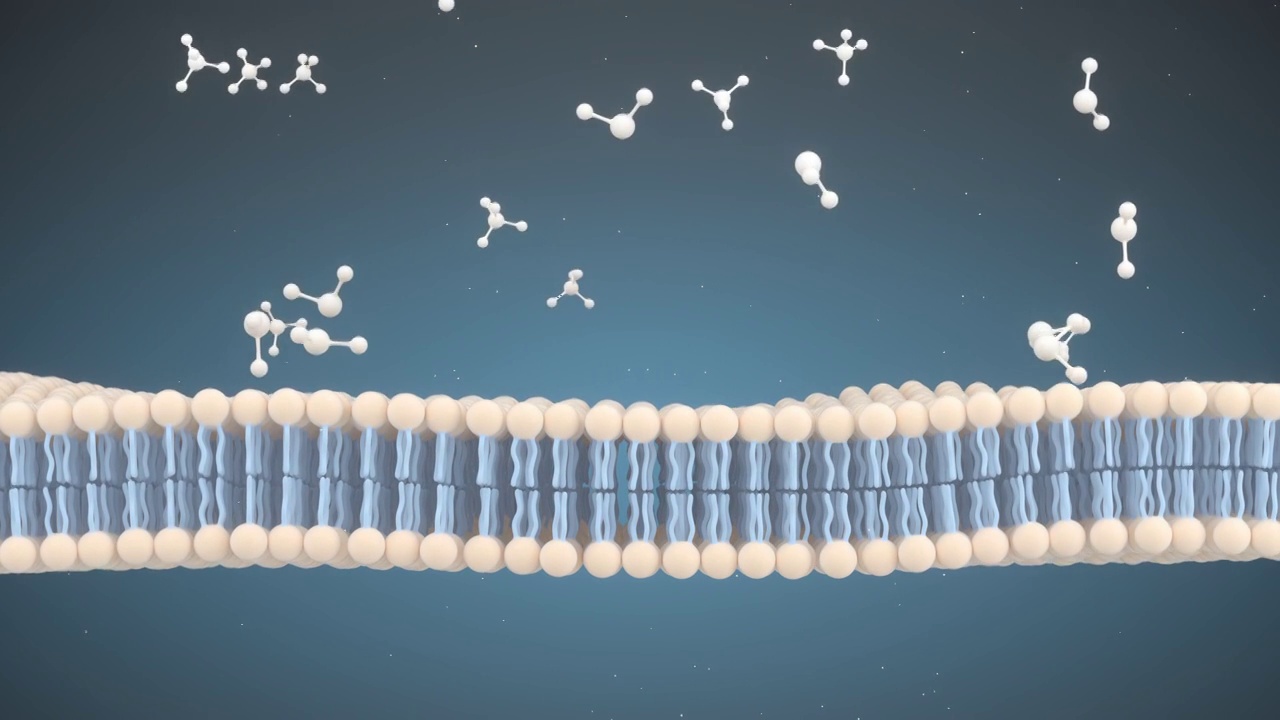 细胞膜与分子结构 3D渲染视频下载