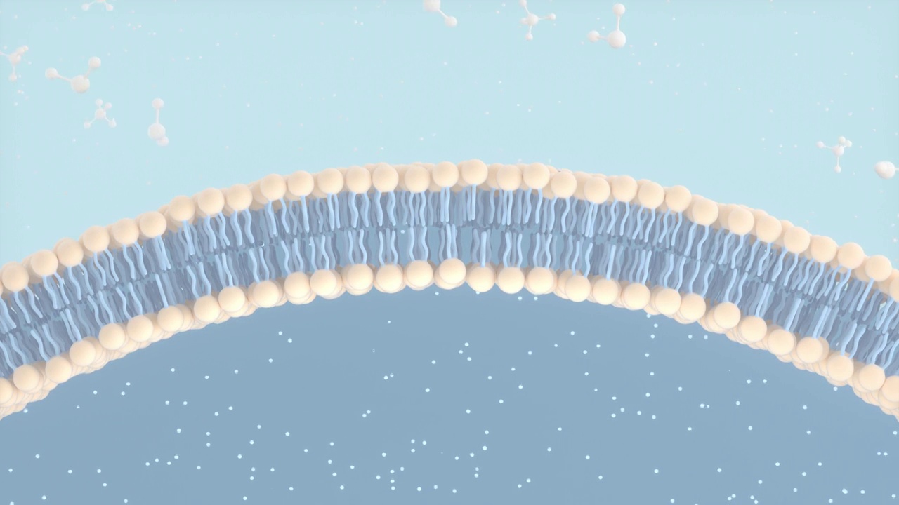细胞膜与分子结构 3D渲染视频素材