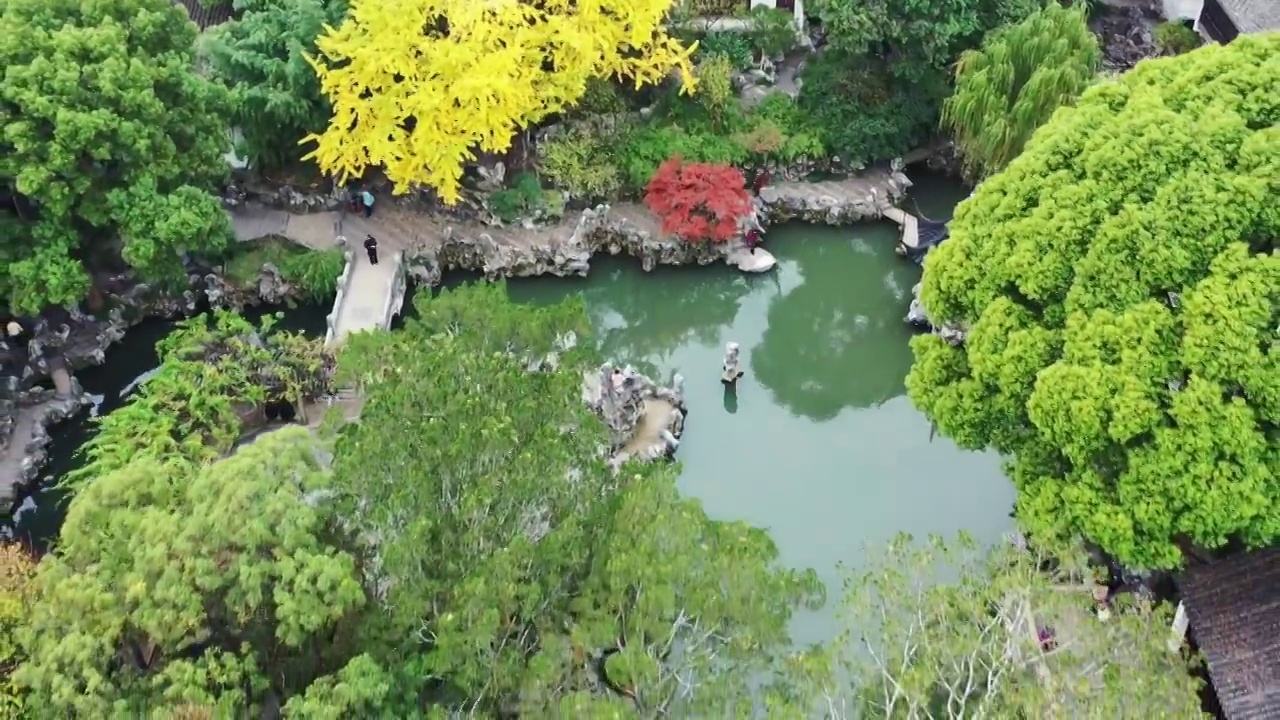 苏州古典园林—苏州市狮子林的秋色风光视频下载