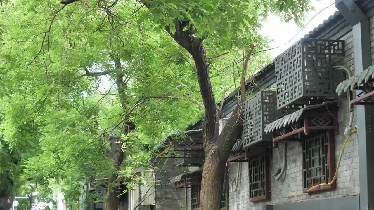4k高清视频北京老城区老胡同街道生活场景旧城区视频素材