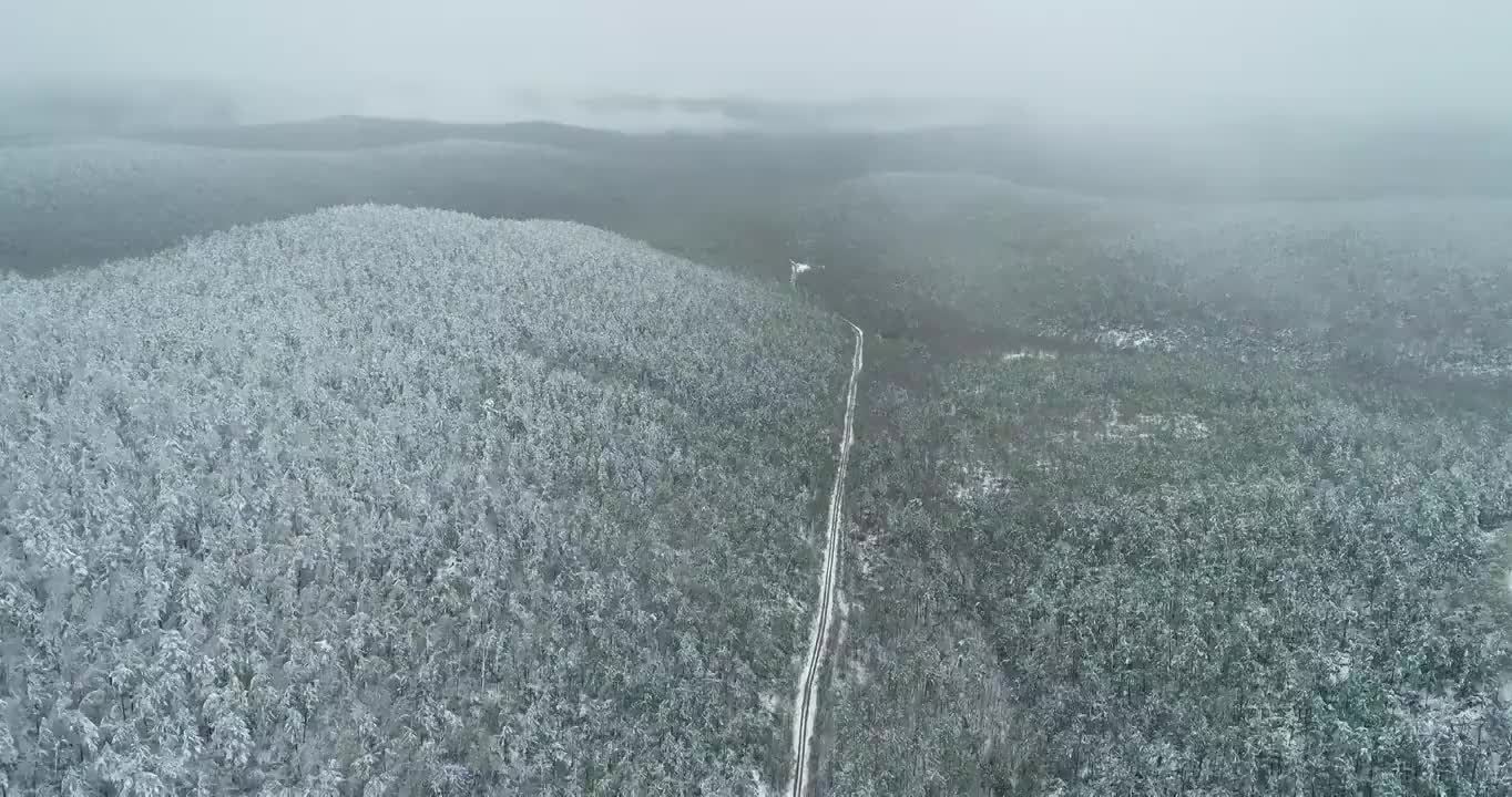 航拍大兴安岭端天气降雪山林公路雾凇视频素材