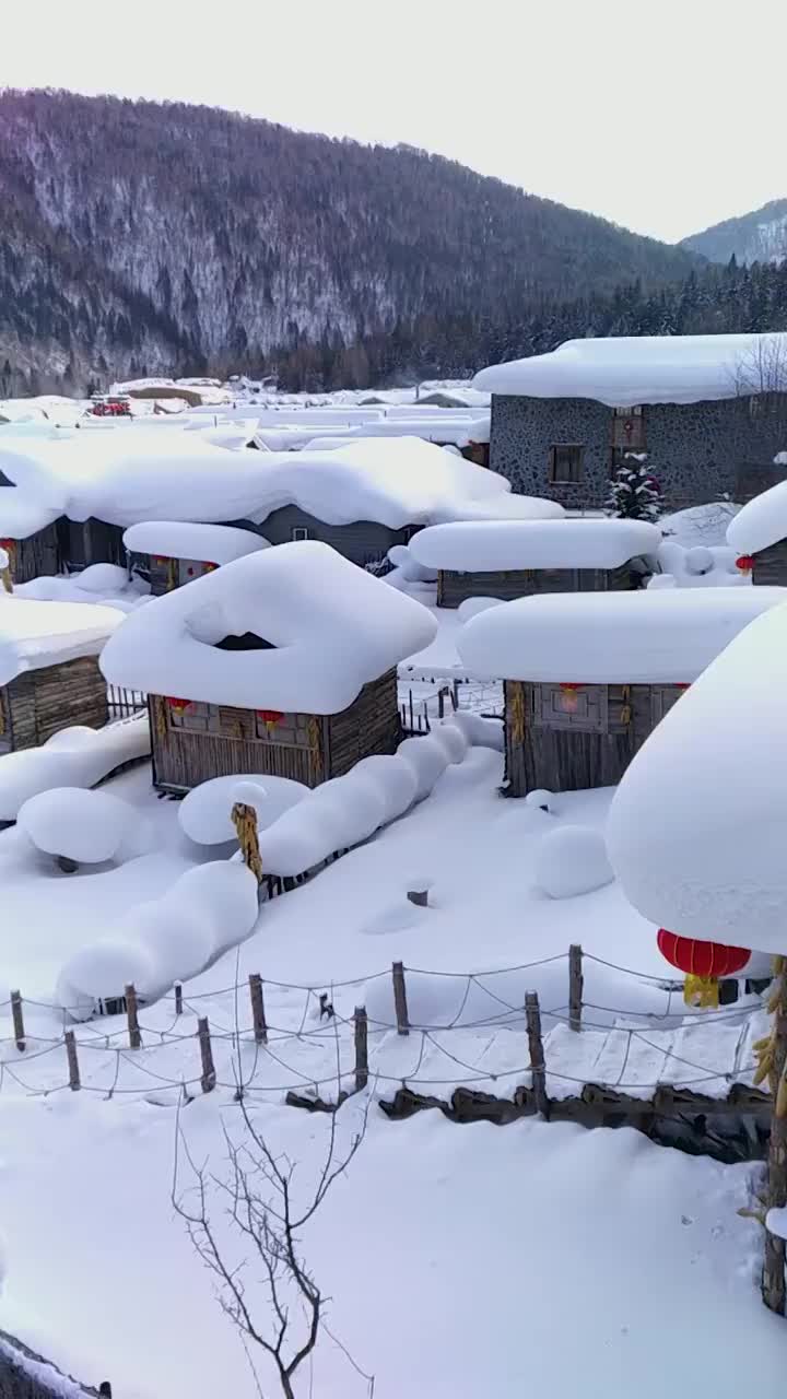 东北雪乡的雪景视频素材
