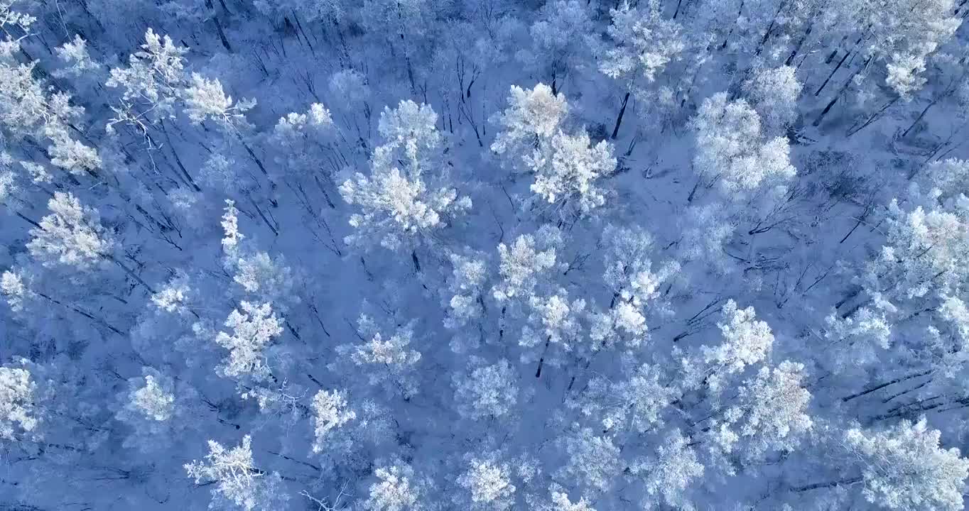 航拍大兴安岭林海雪原雪林雾凇视频下载