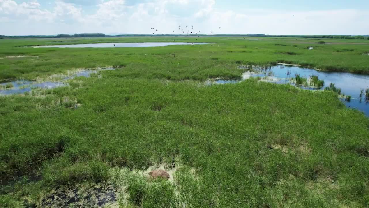 湿地风光视频素材