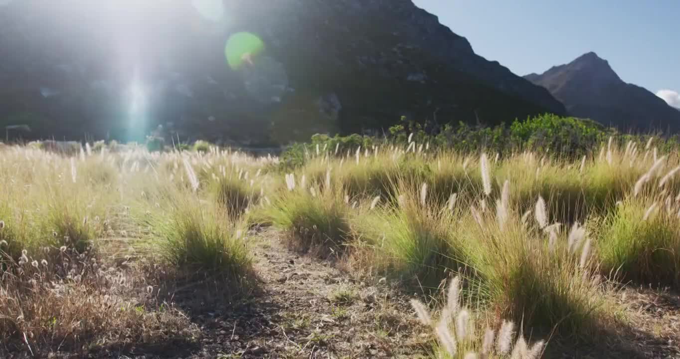 一个非洲裔美国人在乡间的山上跑步视频素材